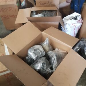 WhatsApp Image 2022-10-08 at 2.48.30 PM (1)