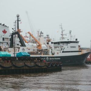 pexels-erik-mclean-7561167